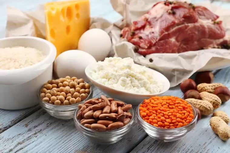 پروٹین غذا کے لئے مصنوعات